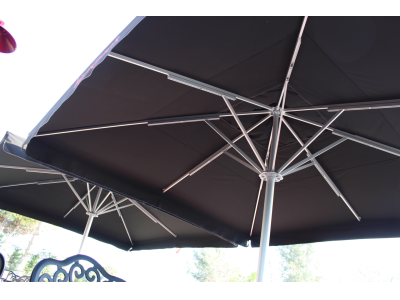 Çeşitli Fotograflar