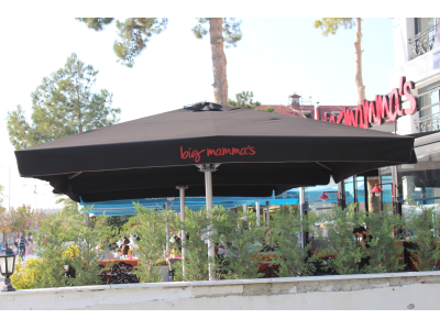 Çeşitli Fotograflar