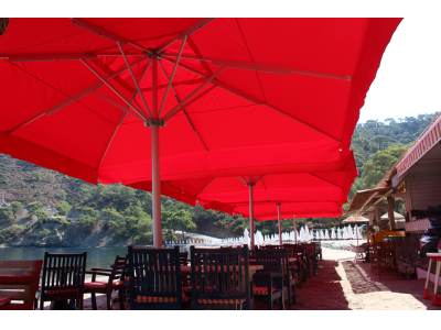 Çeşitli Fotograflar